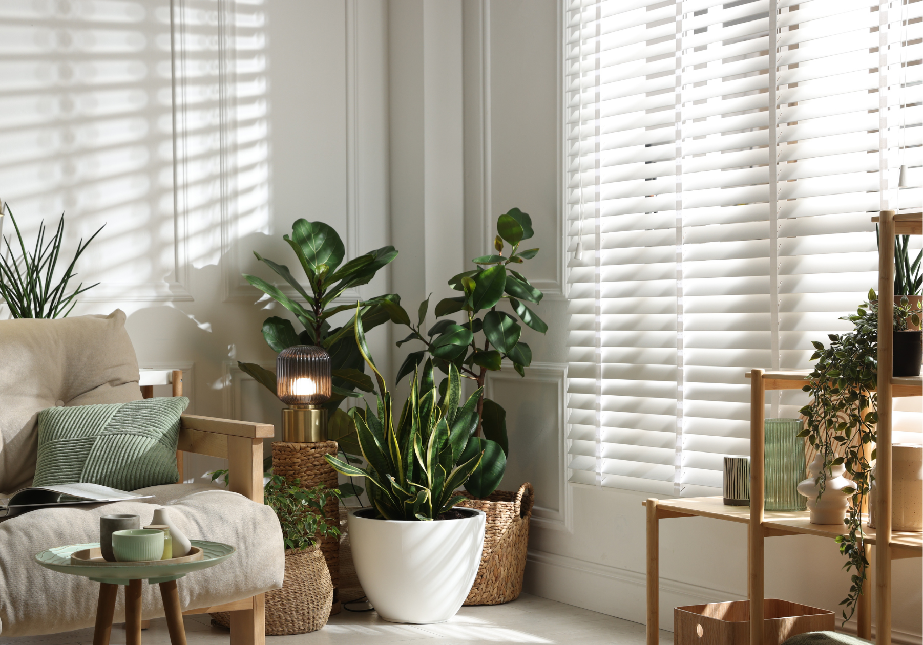 Luma Home About Section Professionally supplied and installed blinds, curtains and window treatments